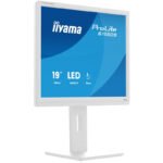 iiyama ProLite B1980S-W1 écran plat de PC 48,3 cm (19&Prime;) 1280 x 1024 pixels SVGA LED Blanc